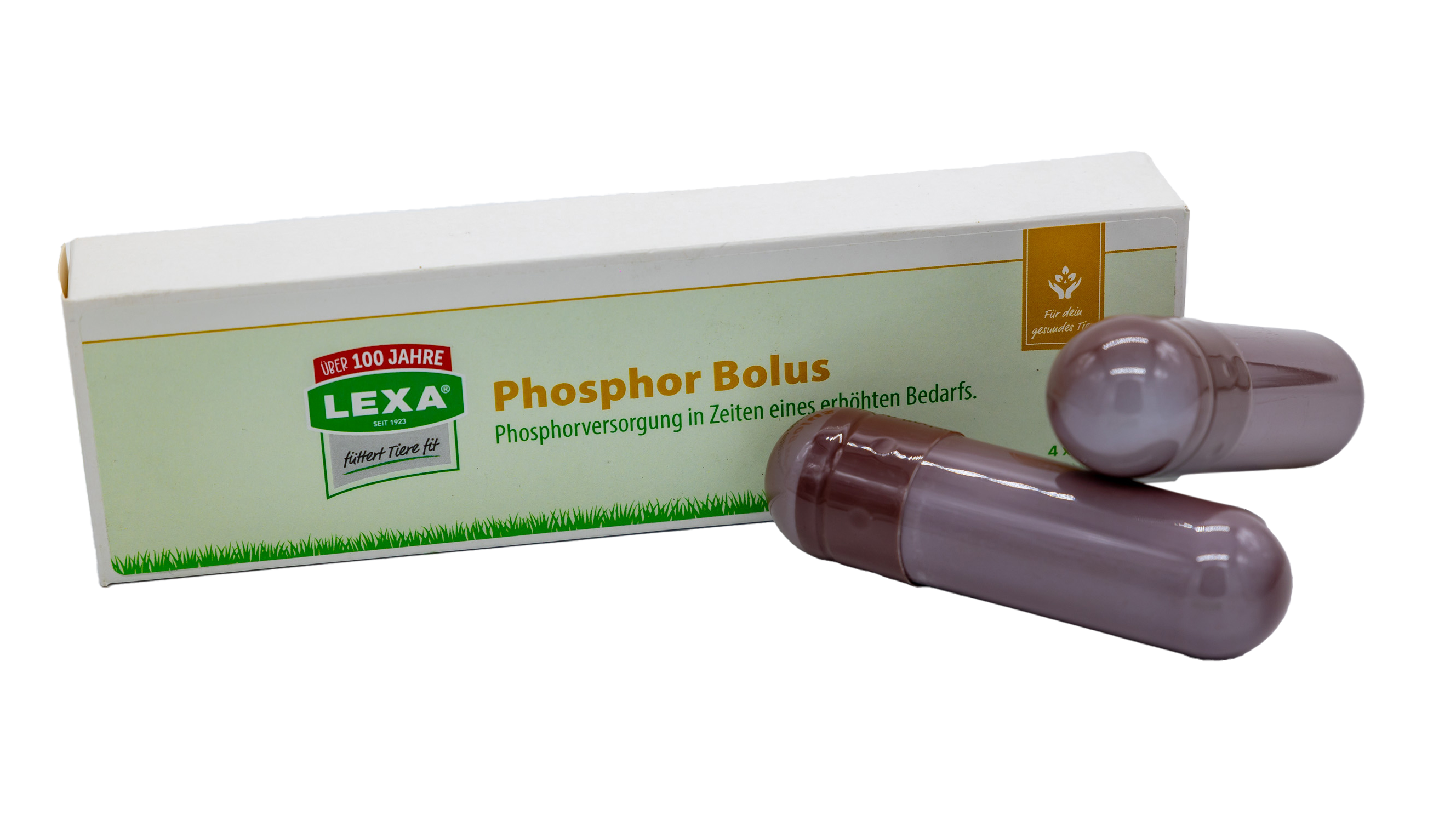 LEXA Phosphor Bolus