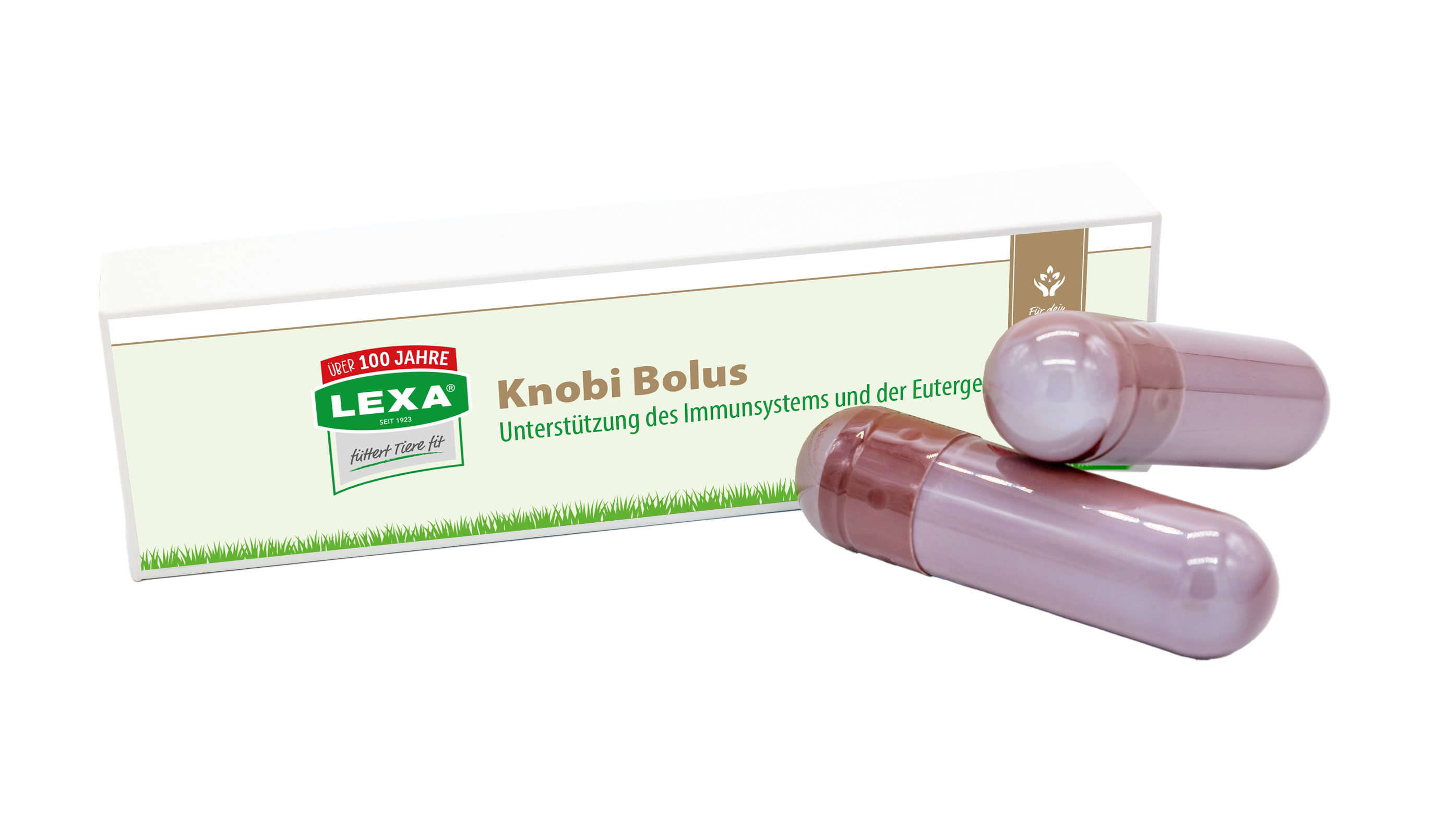 LEXA® Knobi Bolus