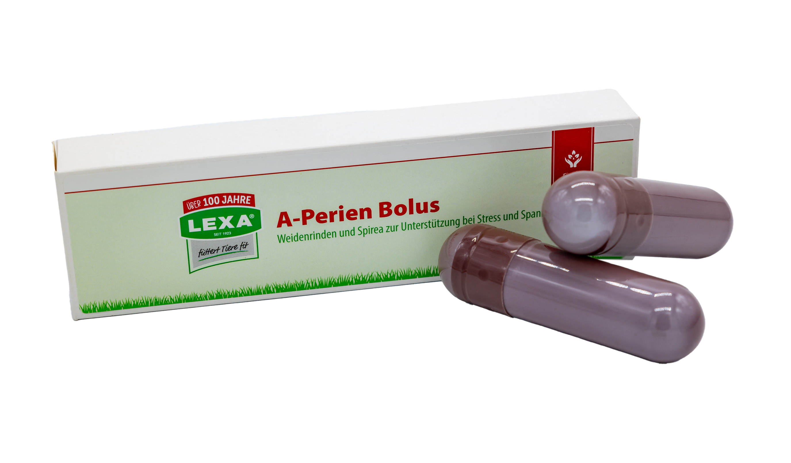 LEXA A Perien Bolus