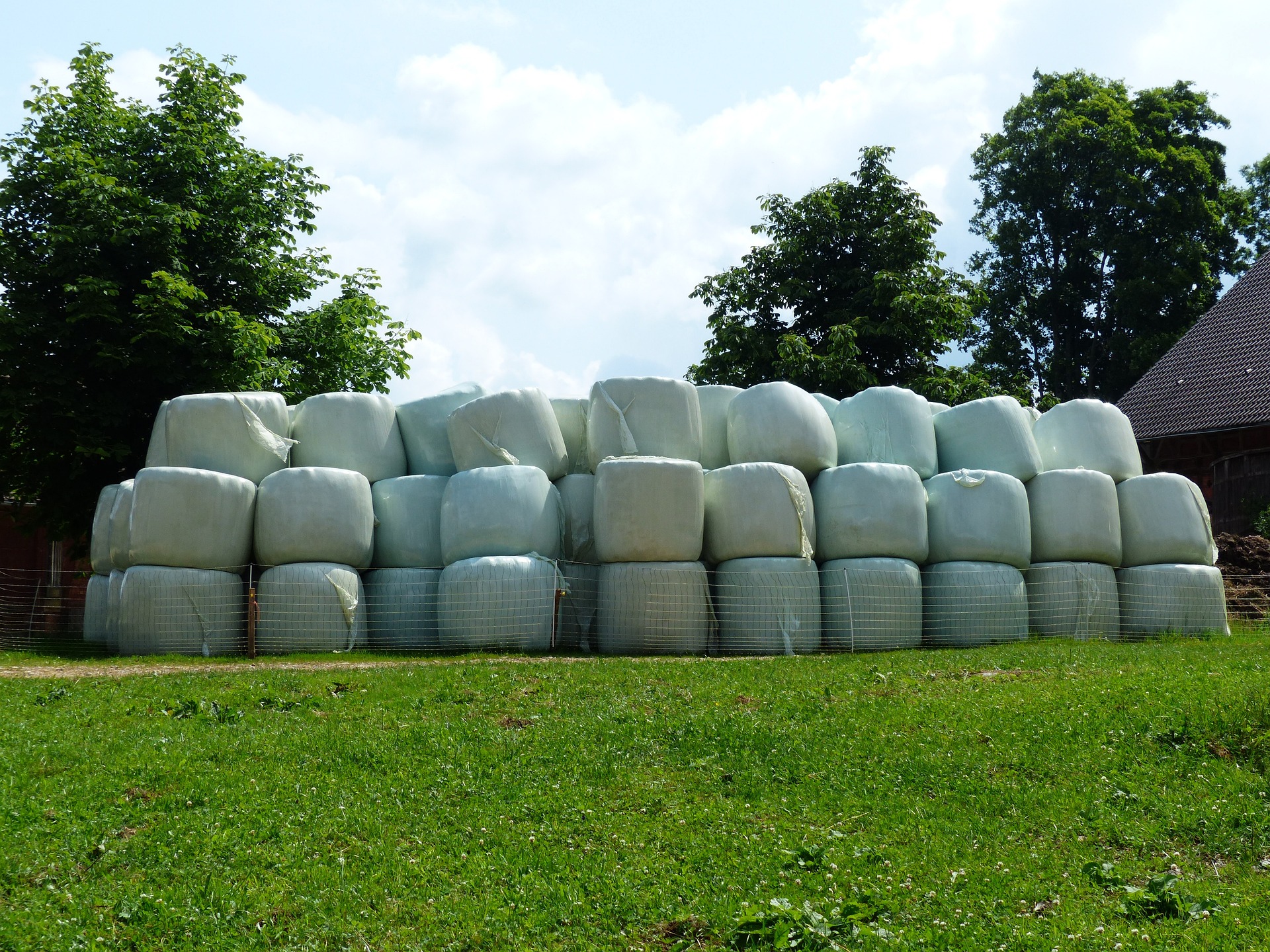 Silage